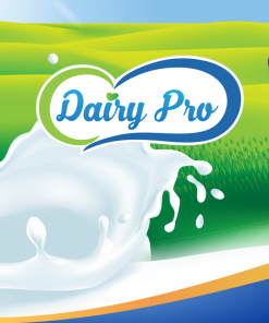 Sữa Dinh Dưỡng Dairy Pro